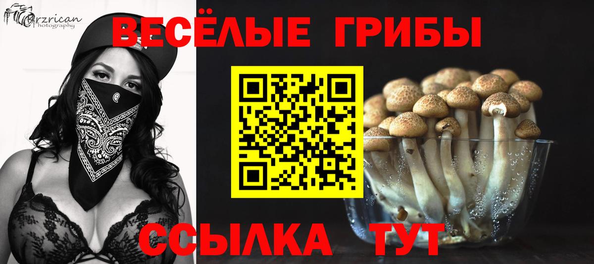 Шарыпово  Псилоцибиновые грибы мицелий  цена   Вход с VPN 